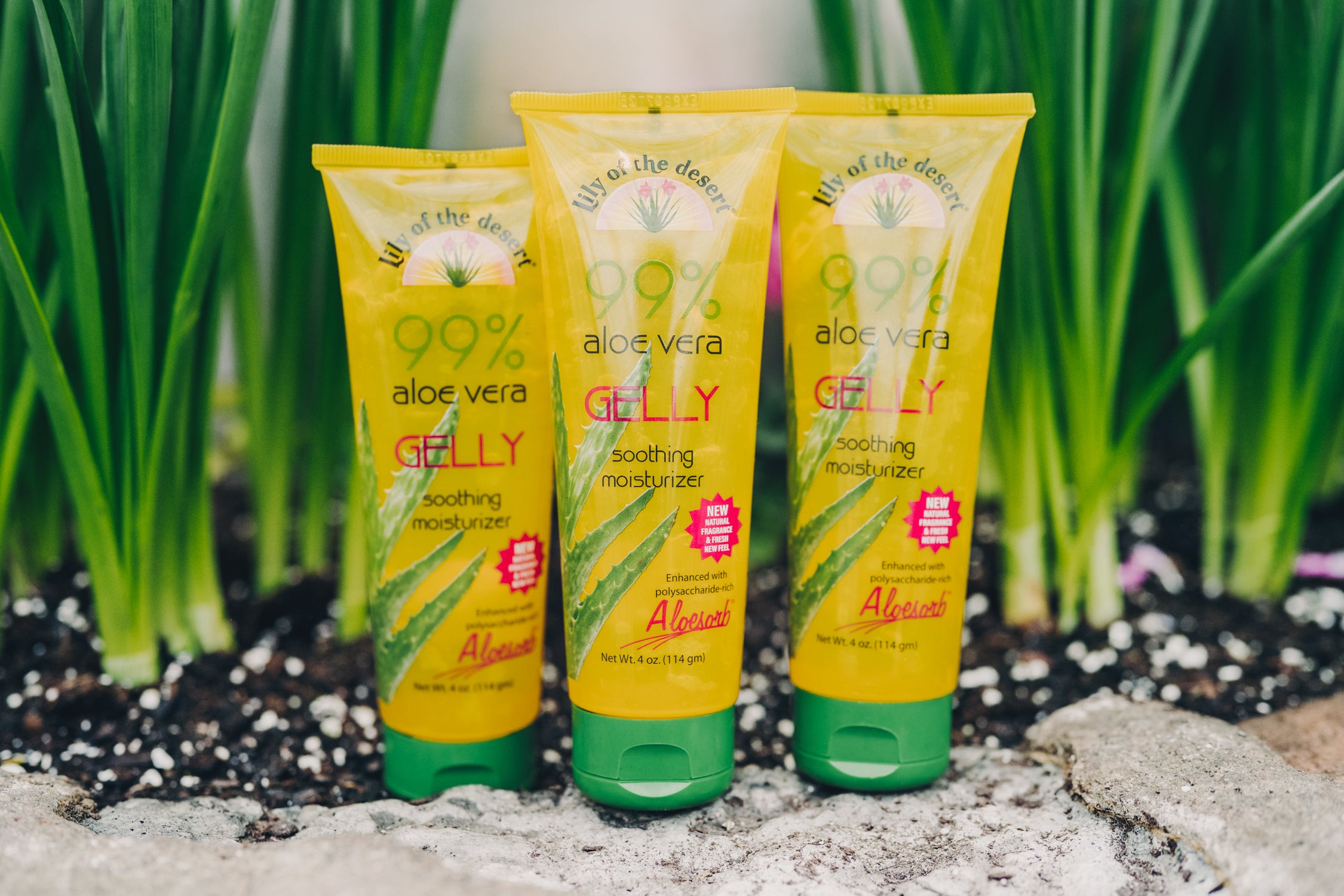 Aloe Vera Gelly 4 oz – BarbaraOneill.com