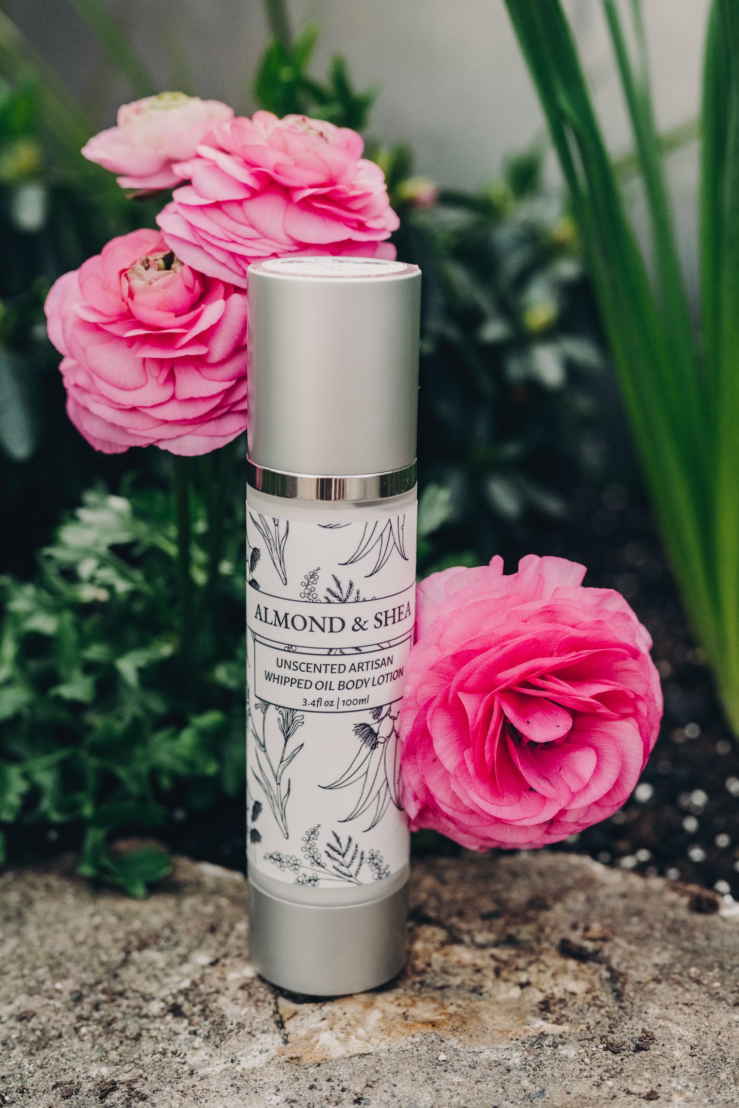 Almond & Shea Whipped Oil Body Lotion