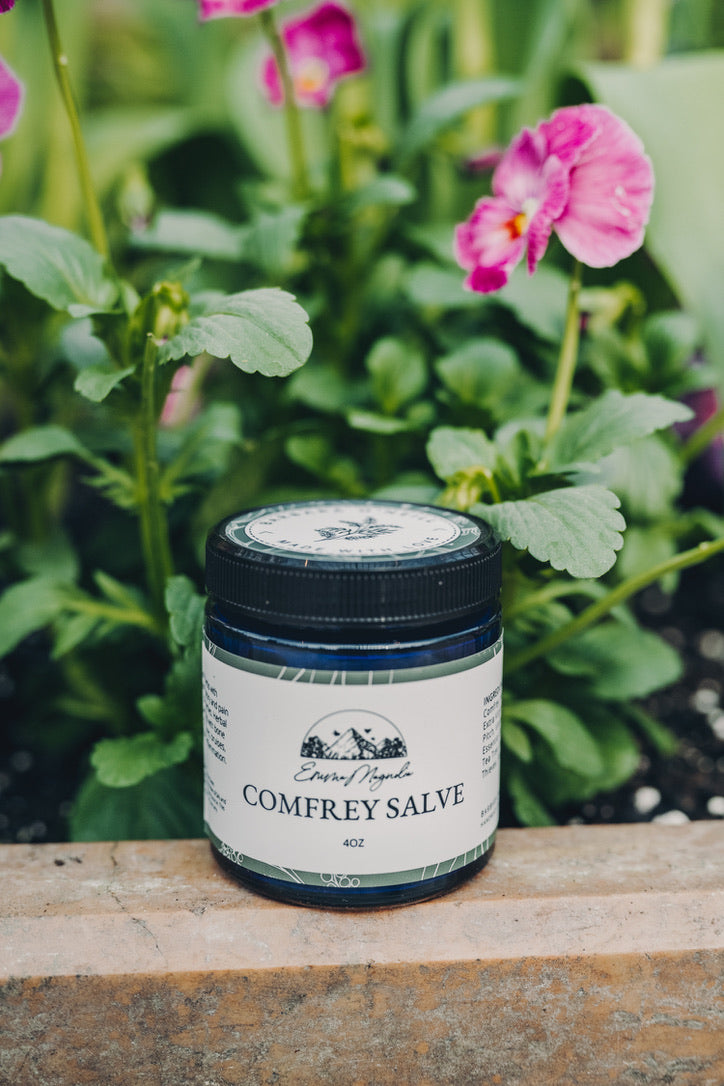 Comfrey Salve 4oz