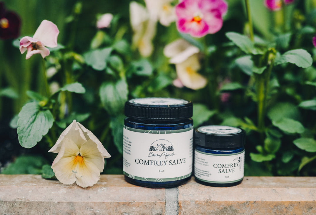 Comfrey Salve 4oz
