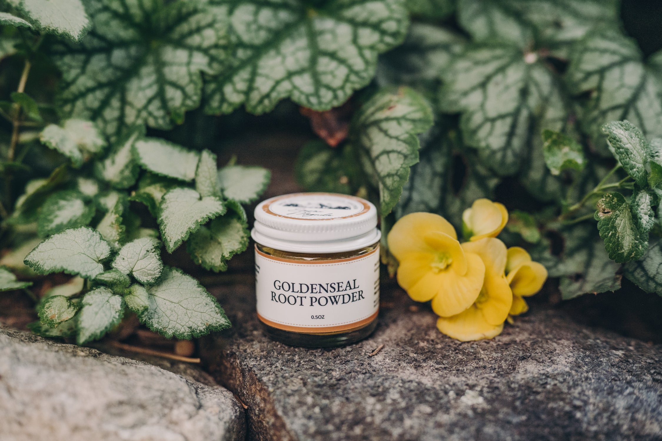 Goldenseal Root Powder