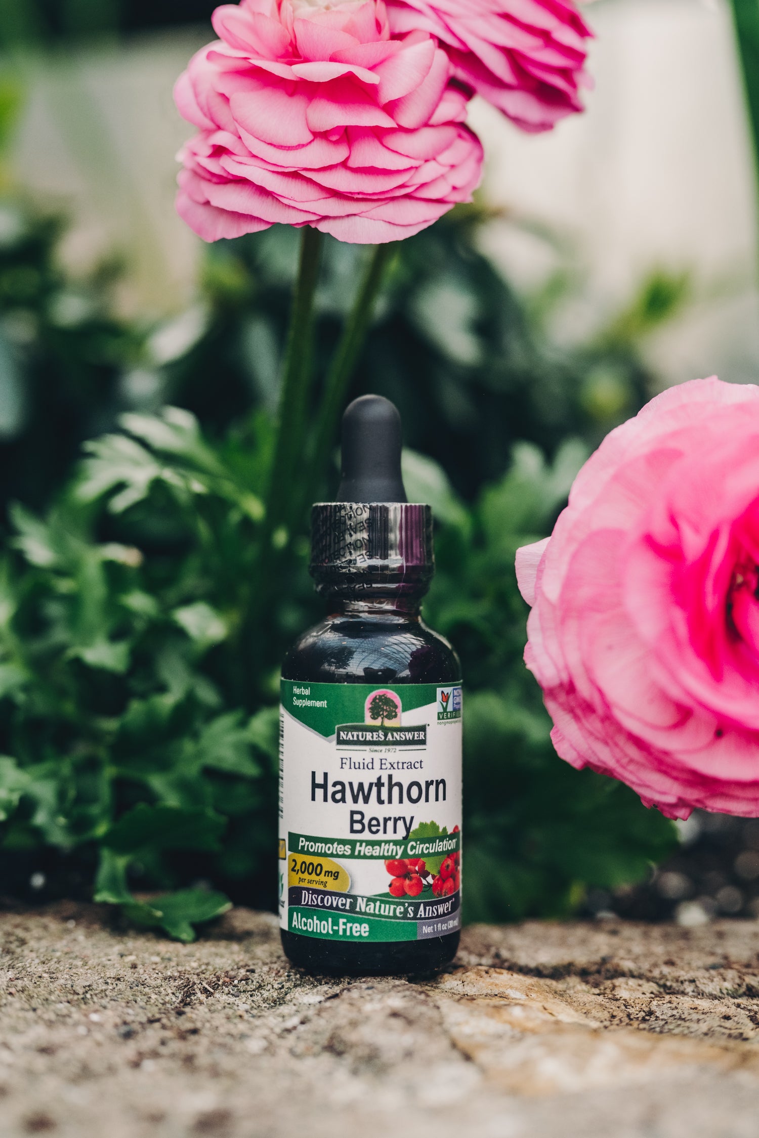 Hawthorn Berry 1 fl oz