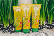 Aloe Vera Gelly 4oz