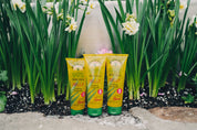 Aloe Vera Gelly 4oz