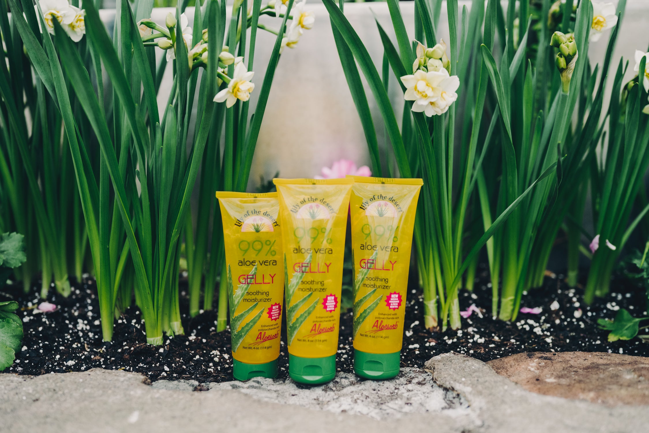 Aloe Vera Gelly 4oz