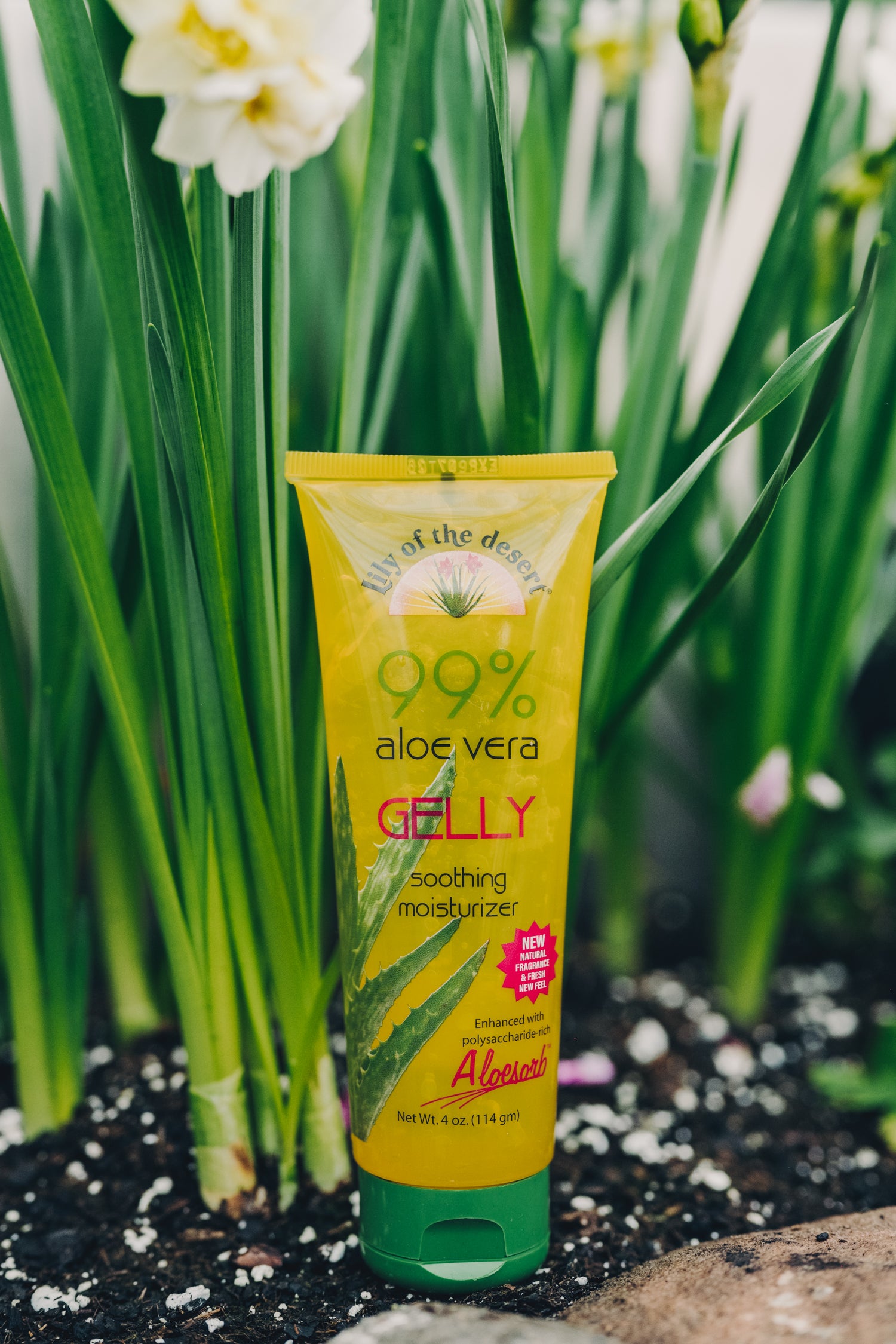 Aloe Vera Gelly 4oz