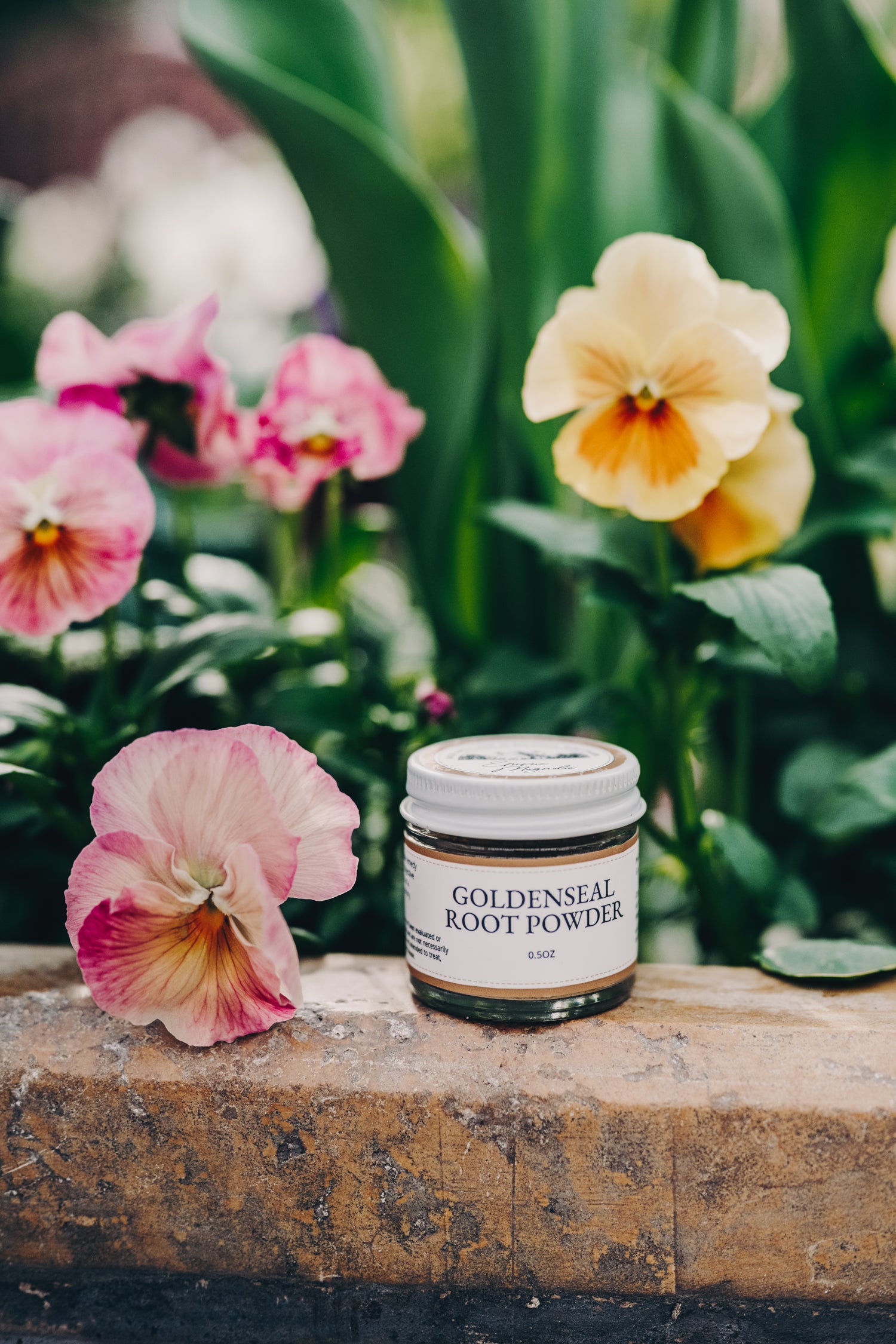 Golden Seal Root Powder