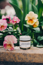 Golden Seal Root Powder