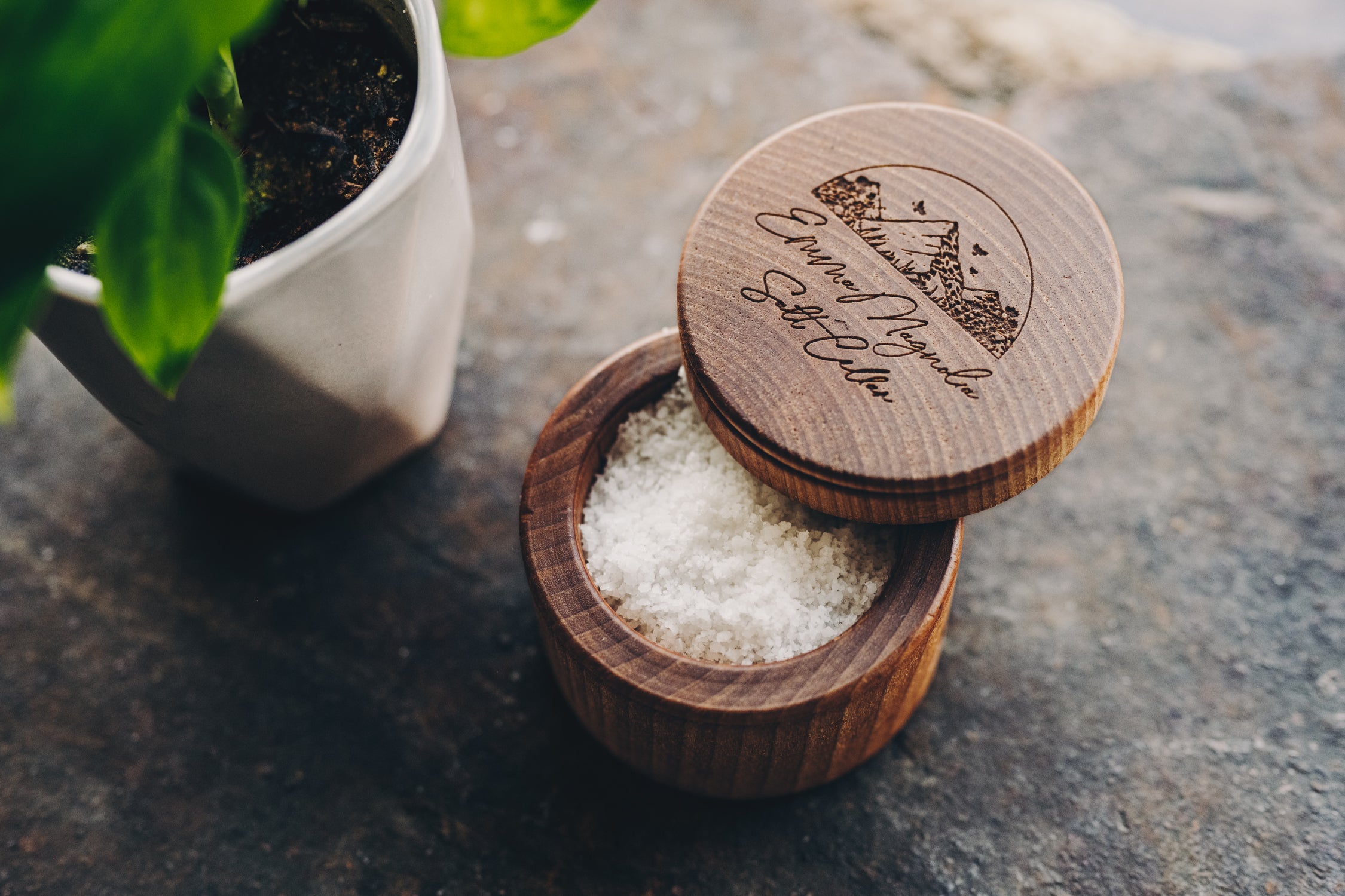 Emma Magnolia Salt Cellar