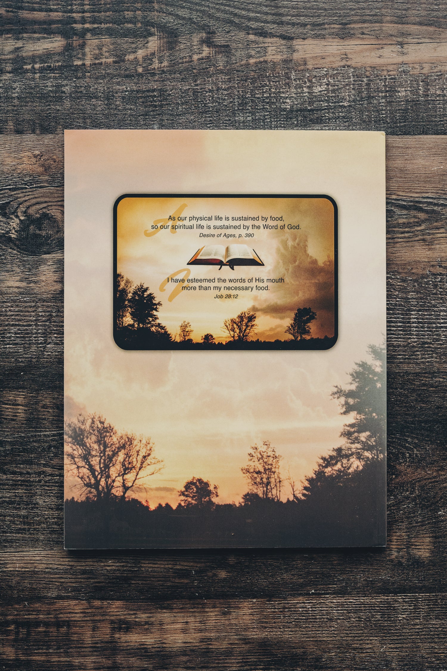 Book: God's Healing Word