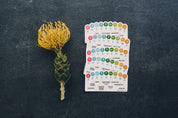 Sticker - Sustain Me (rectangle)