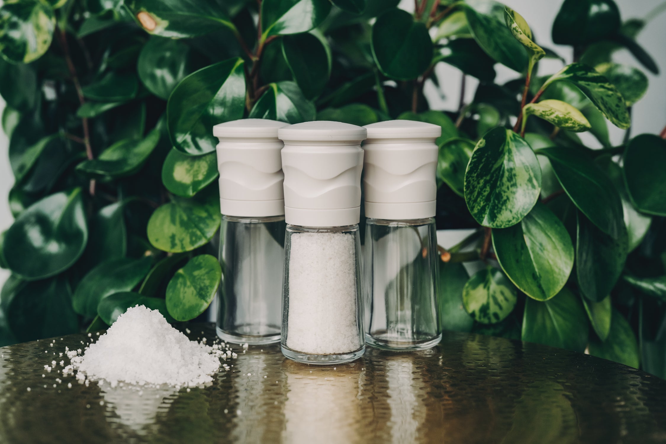 Ceramic Mill Salt Grinder
