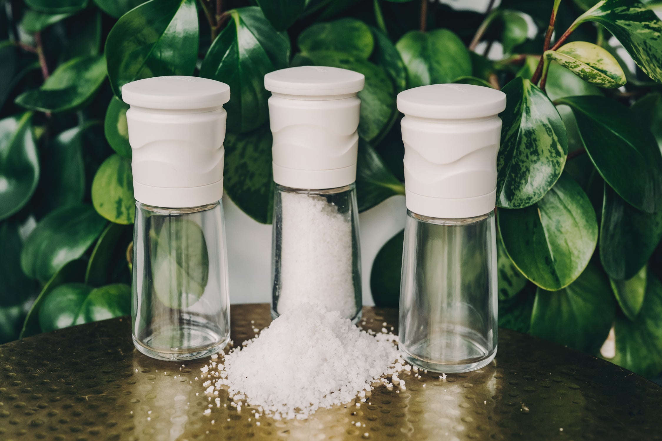 Ceramic Mill Salt Grinder