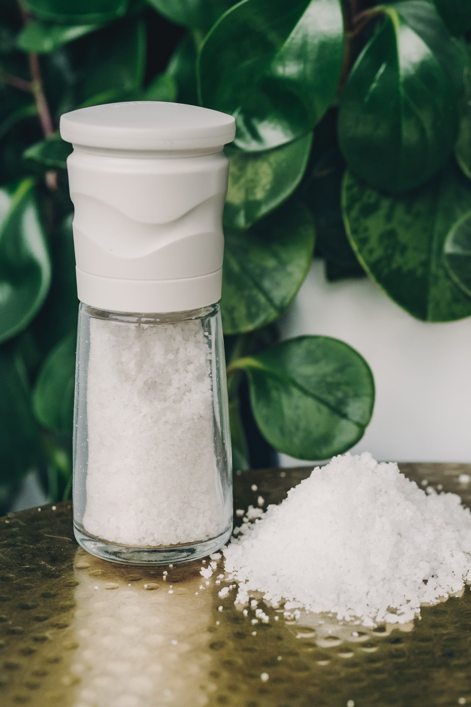 Ceramic Mill Salt Grinder