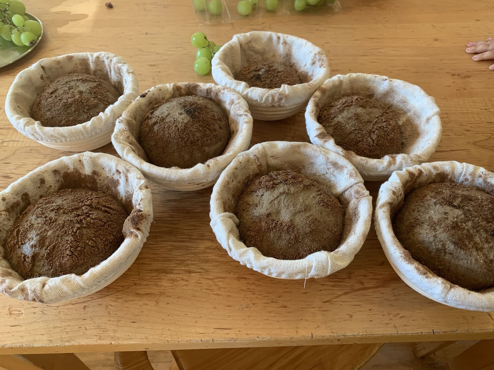sourdough bread proofing