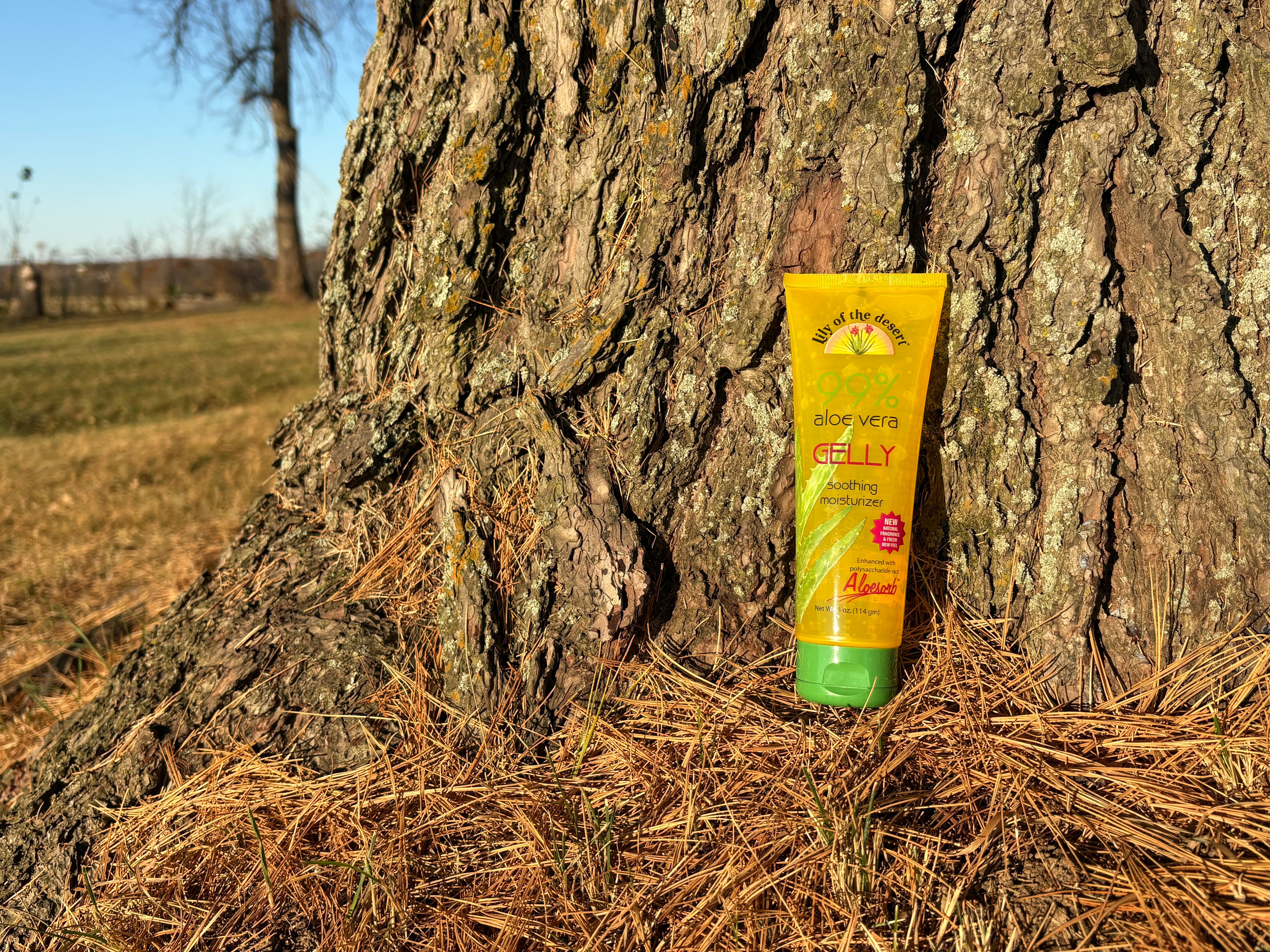 Aloe Vera Gelly 4 oz – BarbaraOneill.com