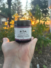 Hypoallergenic Herbal Salve 4oz