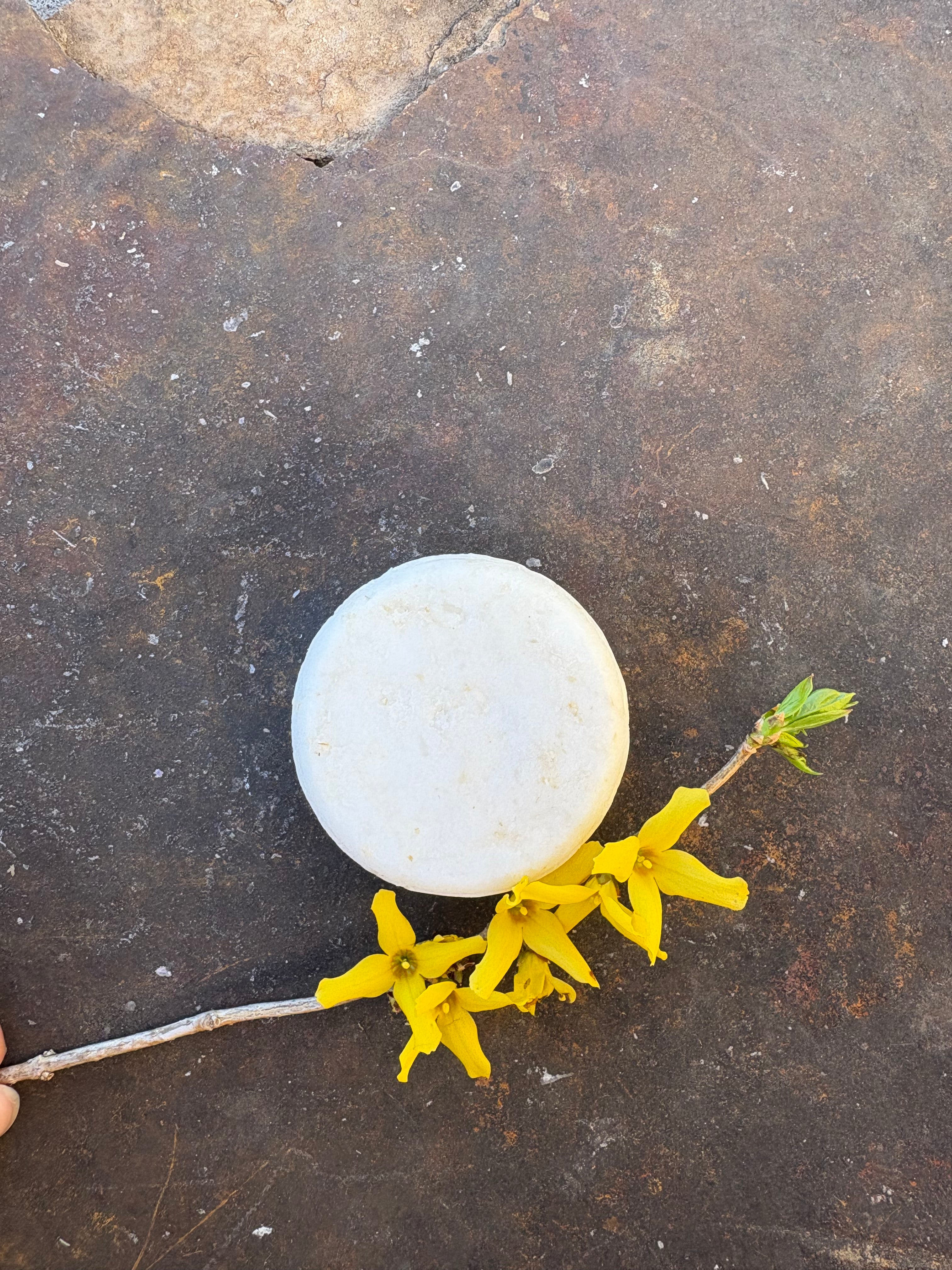 Gentle Touch Shampoo Bar