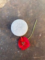 Midnight Calm Shampoo Bar