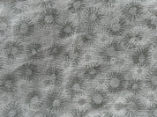 Storage Bag For Organic Castor Oil Packs