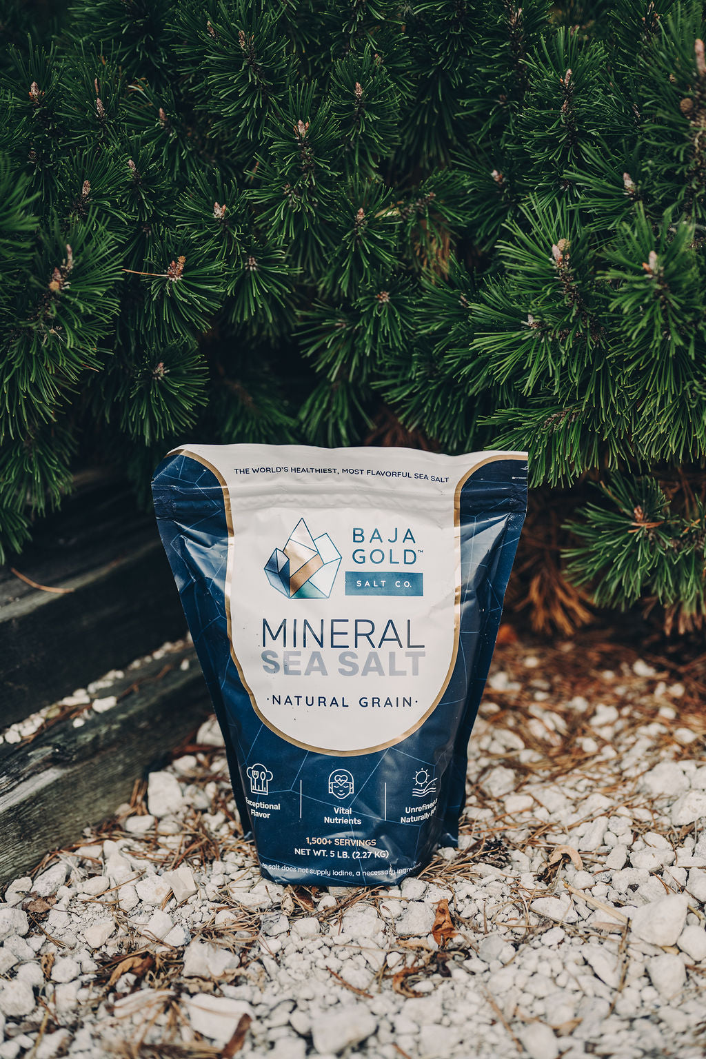 1 lb Baja Gold Mineral Sea Salt Natural Grain Crystals