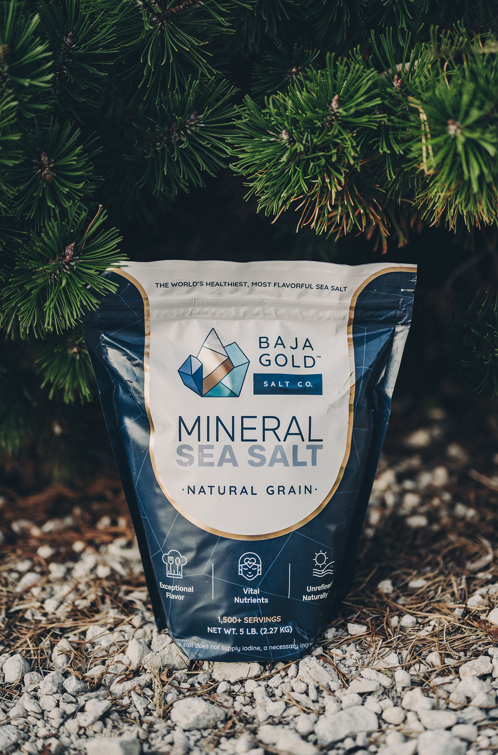 5 lb Baja Gold Mineral Sea Salt Natural Grain Crystals