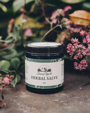 Organic Herbal Salve 4oz