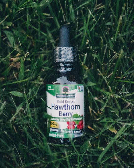Hawthorn Berry 1 fl oz