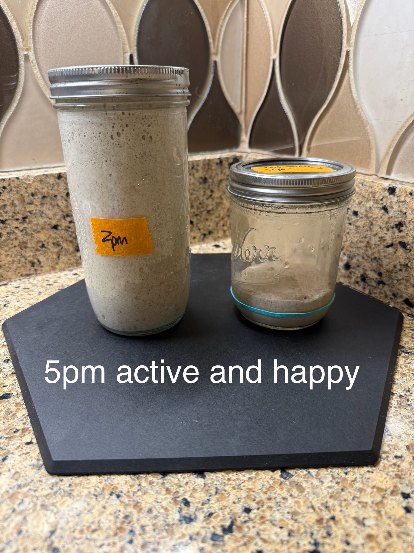 Two jars of sourdough with labels on a black stand against a tiled wall background